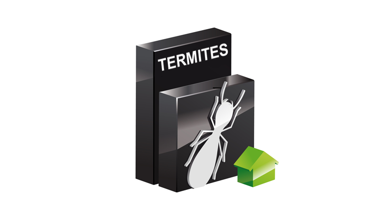 Module Etat relatif à la présence de termites