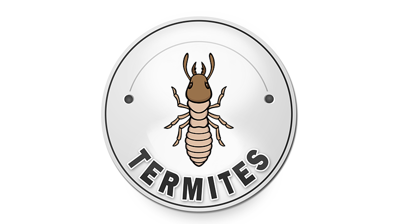 Re-certification Termites